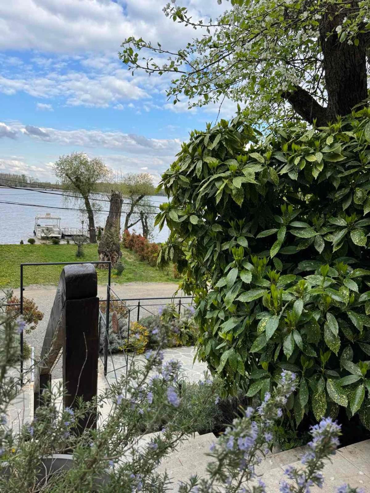 Bora Kuce Na Reci Villa เบลเกรด ภายนอก รูปภาพ